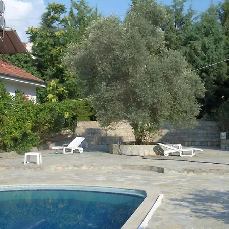 Paradise Garden *