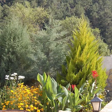 Paradise Garden Holiday home