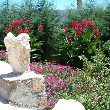 Paradise Garden Ölüdeniz